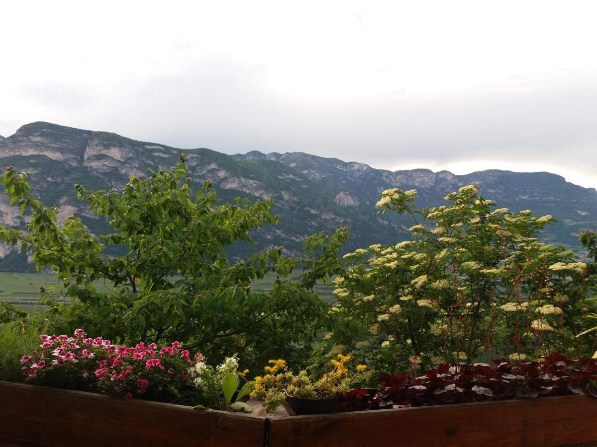 B&B Klammhof Panorama 살로노 외부 사진